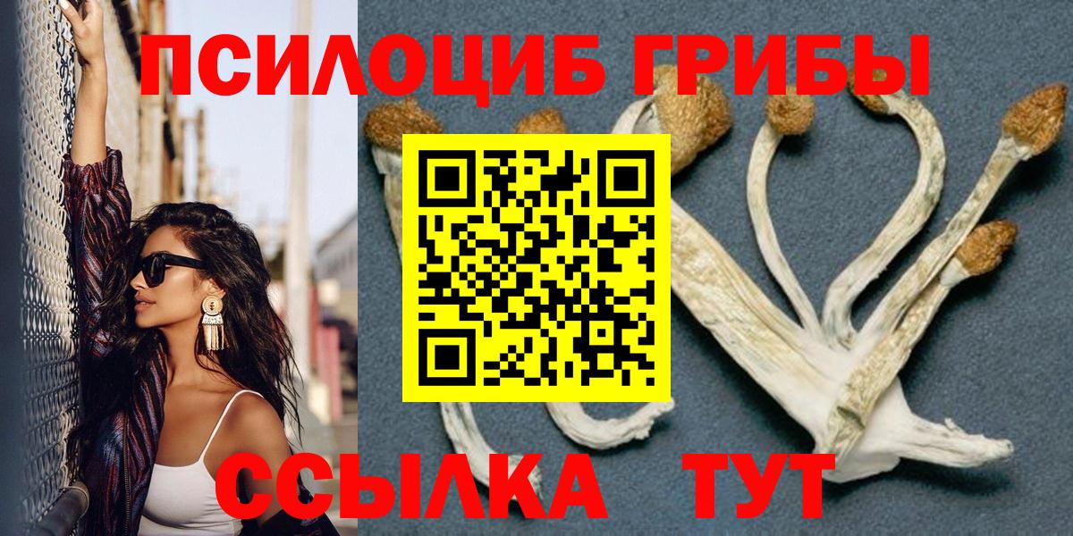 Псилоцибиновые грибы прущие грибы  Вход с VPN  Видное 
